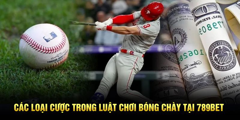Các loại cược trong luật chơi bóng chày tại 789bet